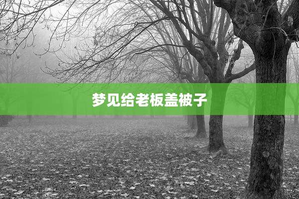 梦见给老板盖被子