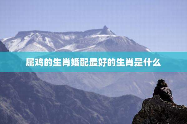 属鸡的生肖婚配最好的生肖是什么