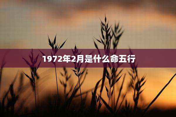 1972年2月是什么命五行
