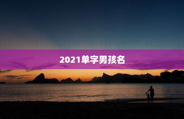 2021单字男孩名