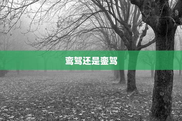 鸾驾还是銮驾