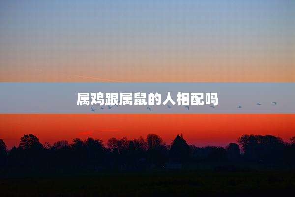 属鸡跟属鼠的人相配吗