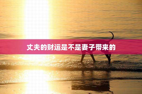 丈夫的财运是不是妻子带来的