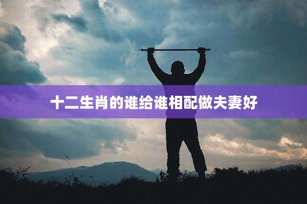 十二生肖的谁给谁相配做夫妻好