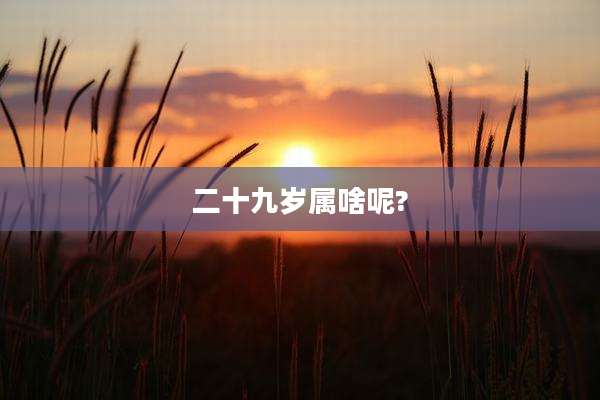 二十九岁属啥呢?