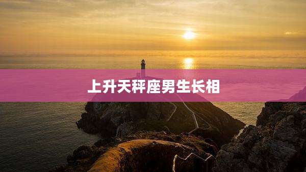 上升天秤座男生长相