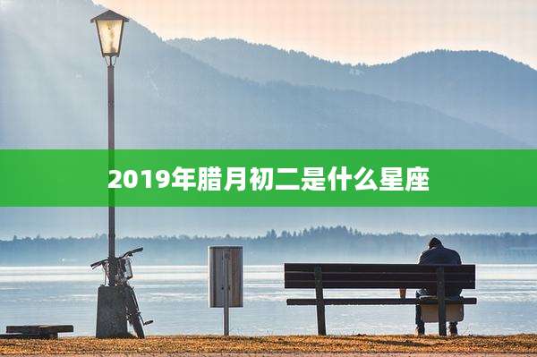 2019年腊月初二是什么星座