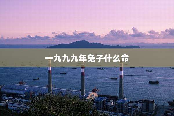 一九九九年兔子什么命