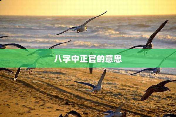 八字中正官的意思