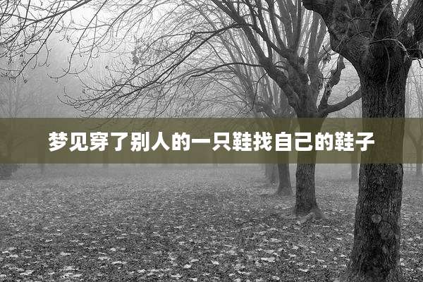 梦见穿了别人的一只鞋找自己的鞋子
