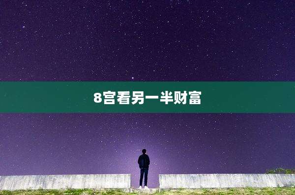 8宫看另一半财富