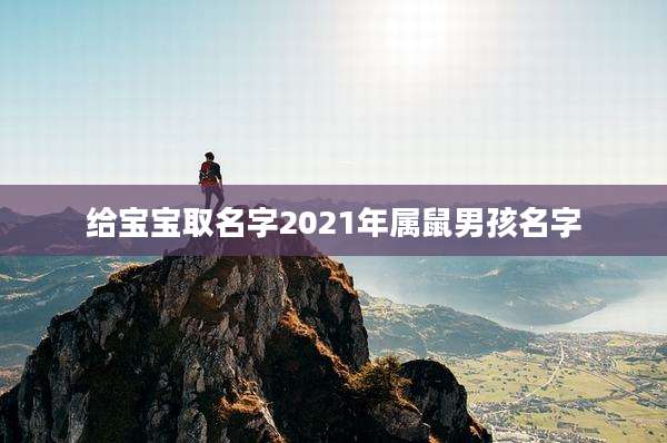 给宝宝取名字2021年属鼠男孩名字