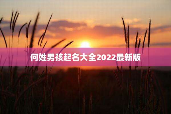 何姓男孩起名大全2022最新版