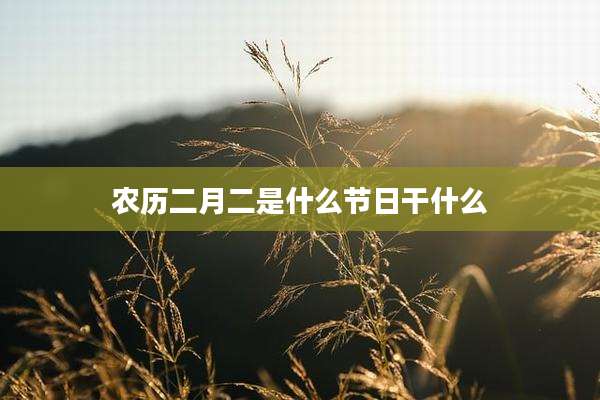 农历二月二是什么节日干什么