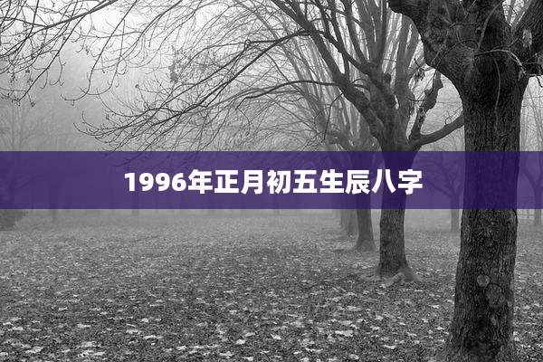 1996年正月初五生辰八字