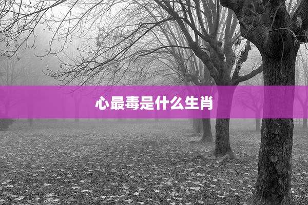 心最毒是什么生肖