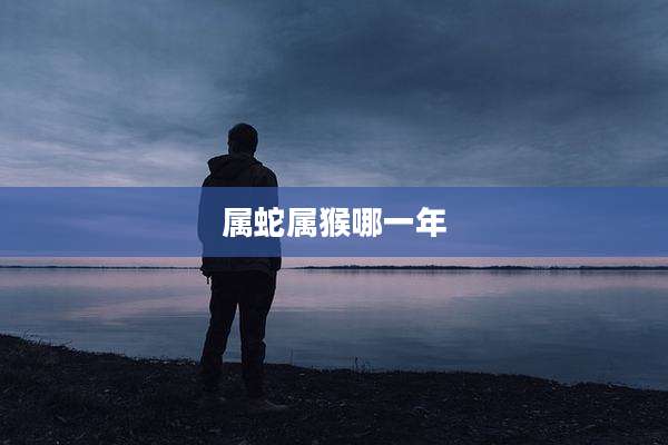 属蛇属猴哪一年