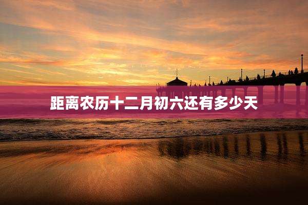 距离农历十二月初六还有多少天