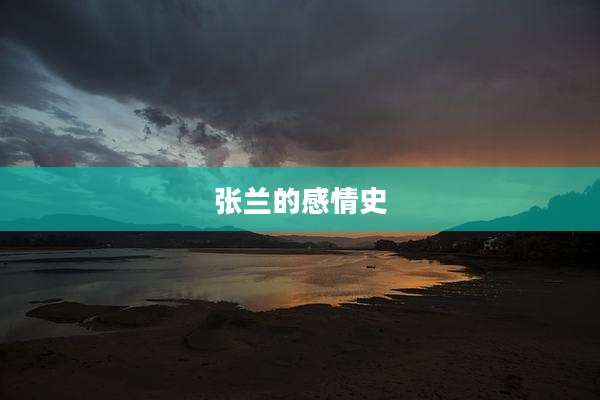 张兰的感情史