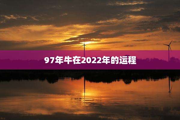 97年牛在2022年的运程