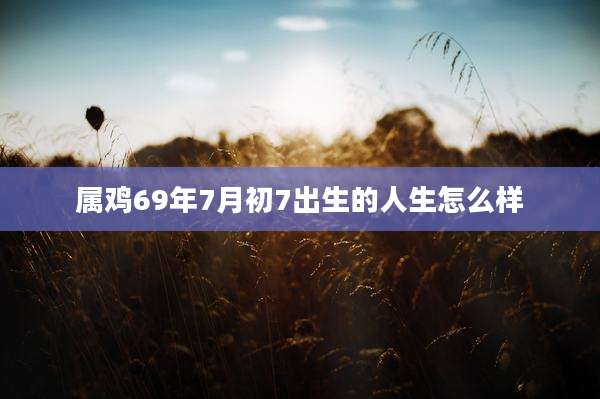 属鸡69年7月初7出生的人生怎么样