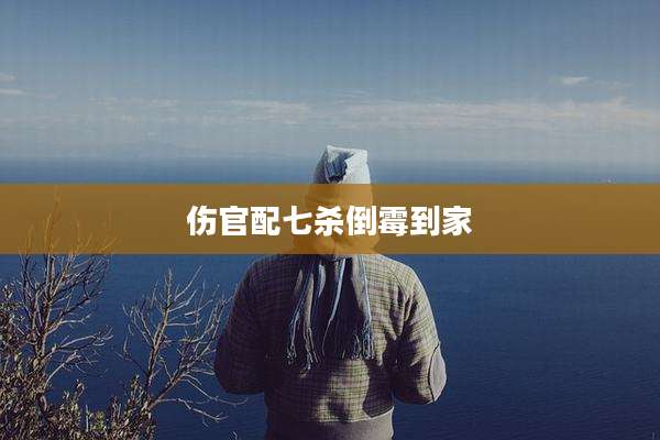 伤官配七杀倒霉到家