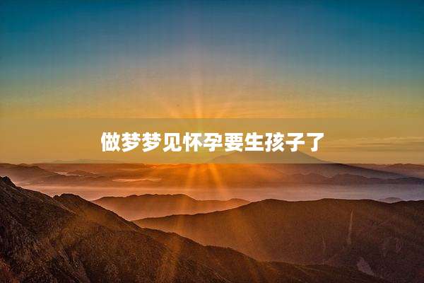 做梦梦见怀孕要生孩子了