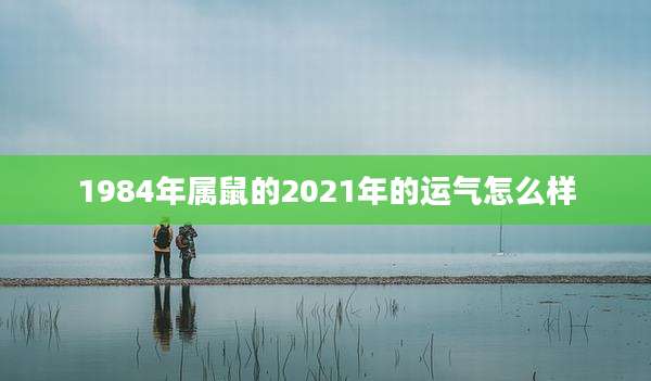 1984年属鼠的2021年的运气怎么样