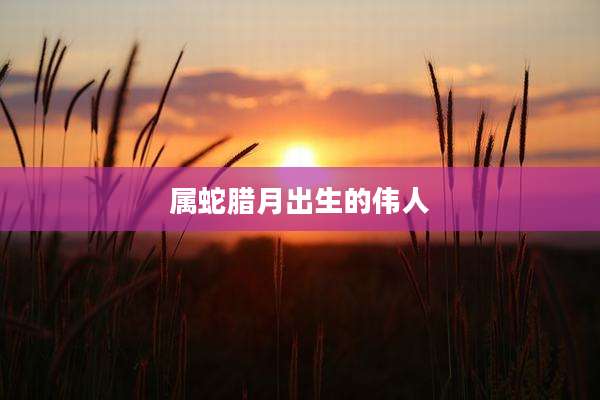 属蛇腊月出生的伟人