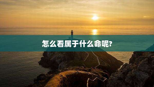 怎么看属于什么命呢?