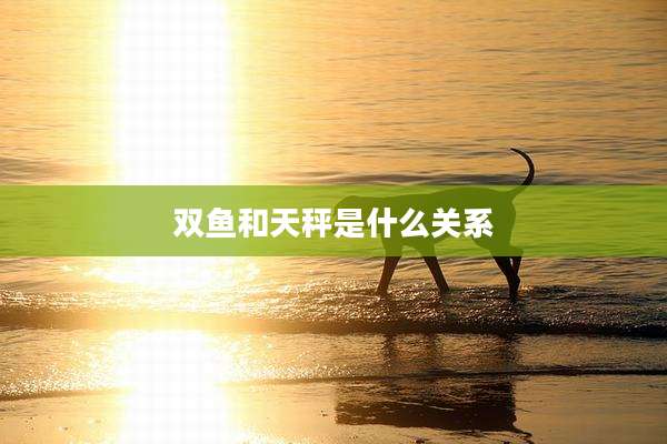 双鱼和天秤是什么关系