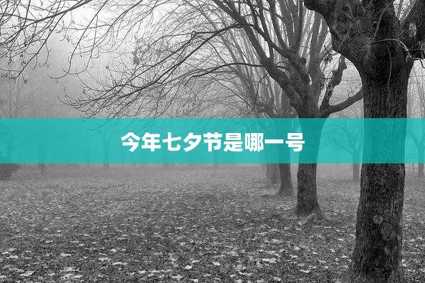 今年七夕节是哪一号