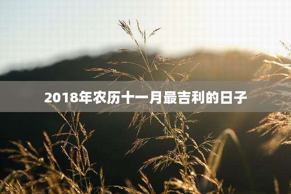 2018年农历十一月最吉利的日子