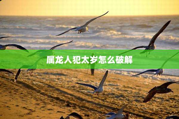属龙人犯太岁怎么破解