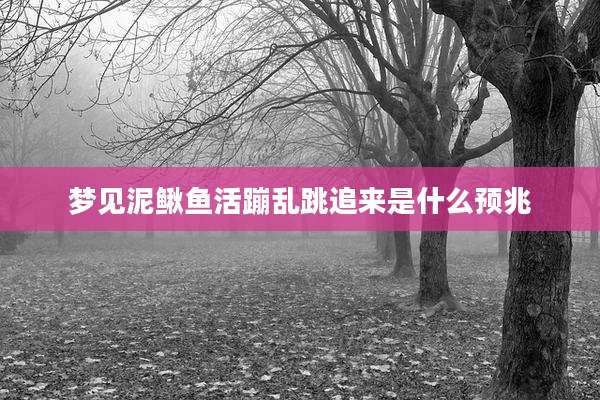 梦见泥鳅鱼活蹦乱跳追来是什么预兆