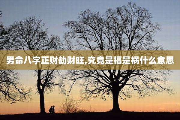 男命八字正财劫财旺,究竟是福是祸什么意思
