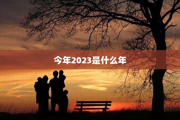 今年2023是什么年