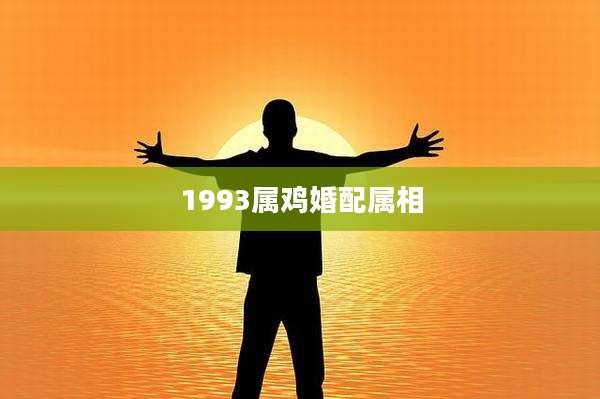 1993属鸡婚配属相