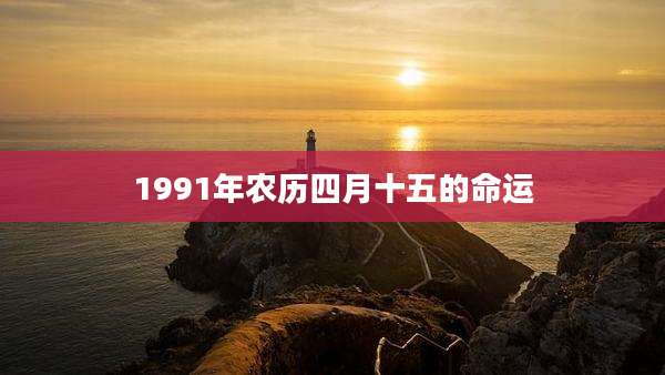 1991年农历四月十五的命运