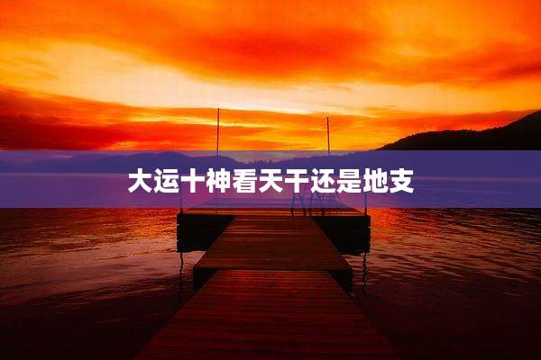 大运十神看天干还是地支