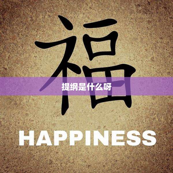 提纲是什么呀