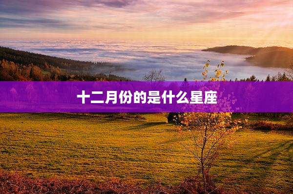 十二月份的是什么星座