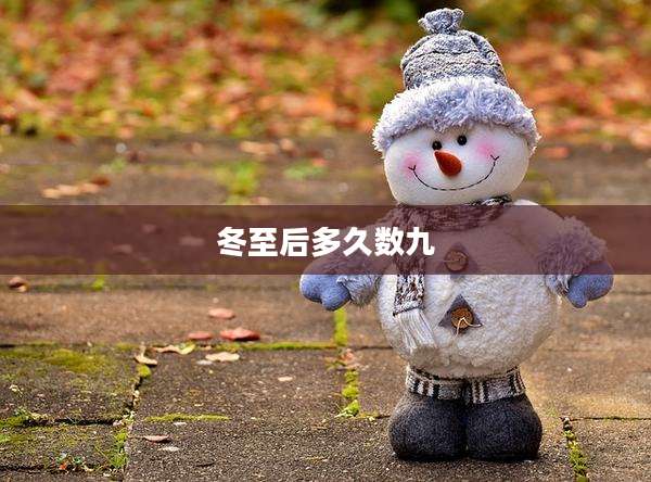 冬至后多久数九