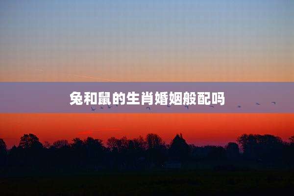兔和鼠的生肖婚姻般配吗