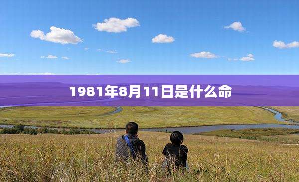 1981年8月11日是什么命