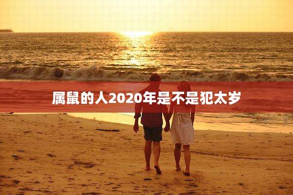 属鼠的人2020年是不是犯太岁