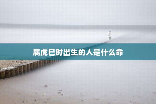 属虎巳时出生的人是什么命