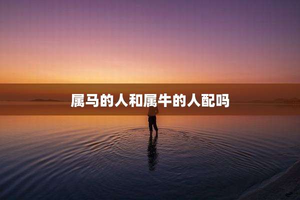 属马的人和属牛的人配吗