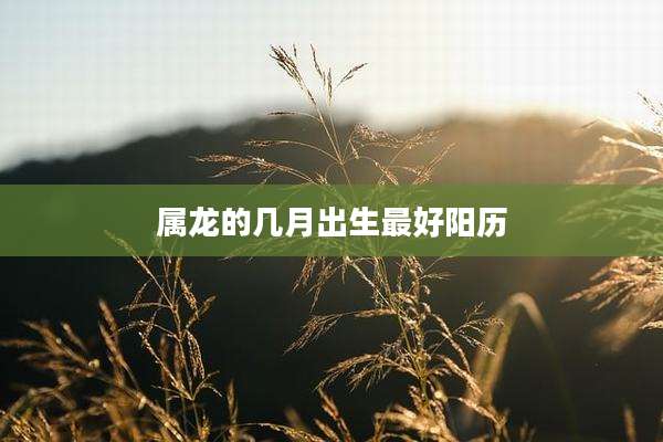 属龙的几月出生最好阳历