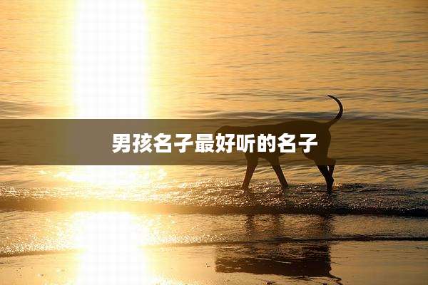 男孩名孑最好听的名子